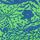 Celia Birtwell Green / Blue Floral
