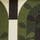 Winter Forest Green