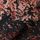 Red/Pink Floral Smudge Print