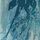 Blue Palm Placement