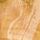 Cream Abstract