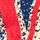 Union Jack Print