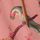 Pink Bird