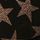 Black/Gold Stars