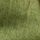 Green Stripe
