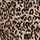 Black Leopard