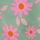 Pink/Green