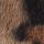 Leopardenprint/Animalprint