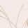 Pink Gold