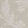 Dove Grey