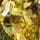 Olive Green Gold Tone