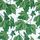 Dappled Leaf Emerald