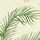 Palm