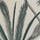Cream/Green Palm