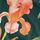 Grünes Blumenmuster