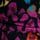 Hell, mehrfarbig, Animal-Print
