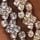 Silver Tone