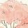 Candy Floss