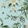 Seaglass