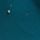 Teal Blue