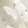 White Butterfly