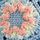 Blue Crochet
