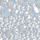 Glitter