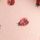 Pink Ladybird