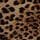 Leopard Love Velvet
