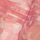 Bright Pink Winter Rose Floral