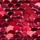 Red?Whitw