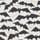 Black/White Bats