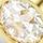 Gold Tone Plated