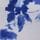Blue Floral