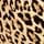 Leopard Brown
