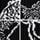 Black Japanese Animal Pattern