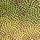 Limelight Green Dots