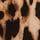 Leopard Brown