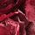 Burgundy Red