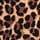 Leopard Brown
