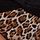 Black & Leopard Brown