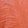 Herbstblatt Orange