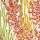 Brazilian Rosewood Nectar Tree Canopy