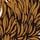 Black EarthFig Leaf Gold