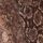 Brown Snake Print