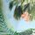 Blue Jungle Scenic Print