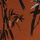 Ochre Yellow Bamboo