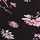 Black Floral