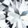 9K White Gold