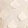 White Ecru